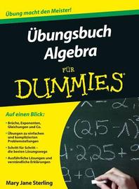  ?bungsbuch Algebra fuer Dummies
