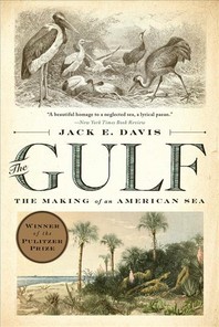  The Gulf