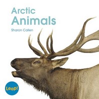 Arctic Animals