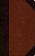  ESV Large Print Personal Size Bible (Trutone, Brown/Cordovan, Portfolio Design)