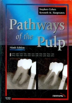  PATHWAYS OF THE PULP