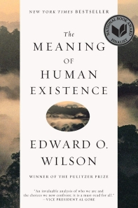  The Meaning of Human Existence