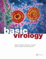  Basic Virology