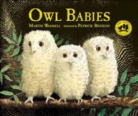  Owl Babies