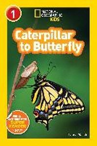  Caterpillar to Butterfly