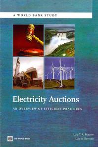  Electricity Auctions