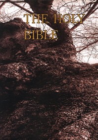  The Holy Bible(신약)