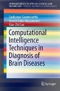  Computational Intelligence Techniques in Diagnosis of Brain Diseases