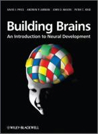  Building Brains