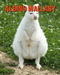 Albino Wallaby