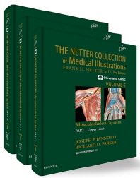  The Netter Collection 6: 근육뼈대계통