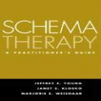  Schema Therapy