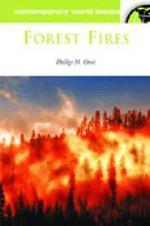  Forest Fires