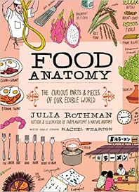  Food Anatomy