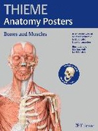  Thieme Anatomy Posters Bones and Muscles