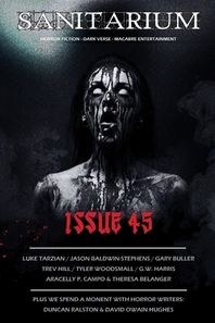  Sanitarium Issue #45