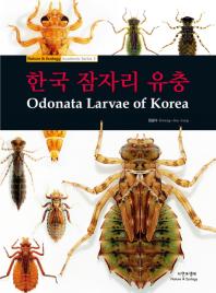  한국 잠자리 유충