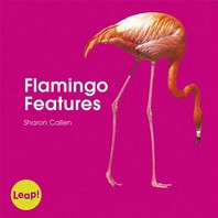  Flamingo Features