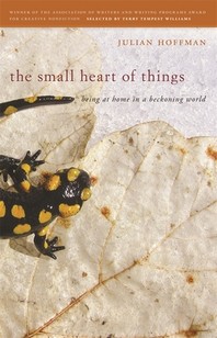  The Small Heart of Things