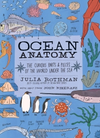  Ocean Anatomy