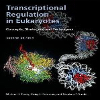  Transcriptional Regulation in Eukaryotes