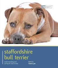  Staffordshire Bull Terrier