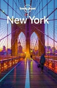  Lonely Planet Reisefuehrer New York