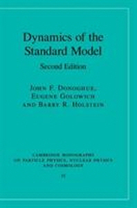  Dynamics of the Standard Model