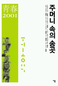  주머니 속의 송곳(청춘 2001)