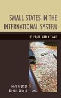  Small States in the International System