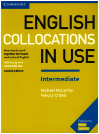  English Collocations in Use Intermediate Book with Answers