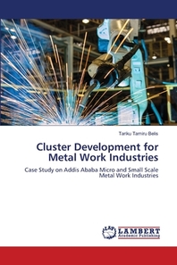  Cluster Development for Metal Work Industries