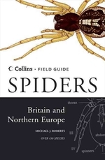  Spiders of Britain and Northern Europe