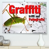  Graffiti trifft auf Fotografie (Premium, hochwertiger DIN A2 Wandkalender 2023, Kunstdruck in Hochglanz)