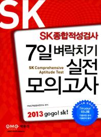  SK 종합적성검사(2013)(7일 벼락치기)