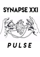  Synapse