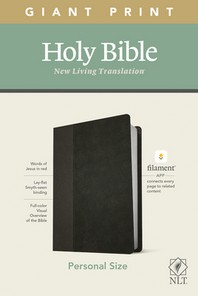  NLT Personal Size Giant Print Bible, Filament Enabled Edition (Red Letter, Leatherlike, Black/Onyx)