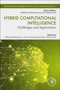  Hybrid Computational Intelligence