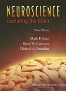 Neuroscience 3/E : Exploring the Brain