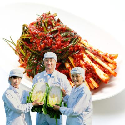  [참다올] 20년전통 국밥김치 파김치 5kg