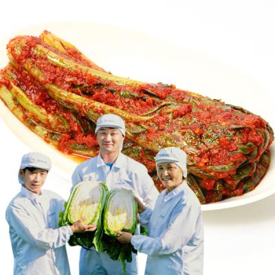  [참다올] 20년전통 국밥김치 갓김치3kg