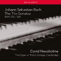 THE TRIO SONATAS BWV 525-530/ DAVID NEWSHOLME [바흐: 여섯 개의 트리오 소나타]